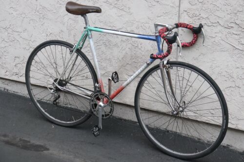 pinarello - Fresh Stock Dated February 2026