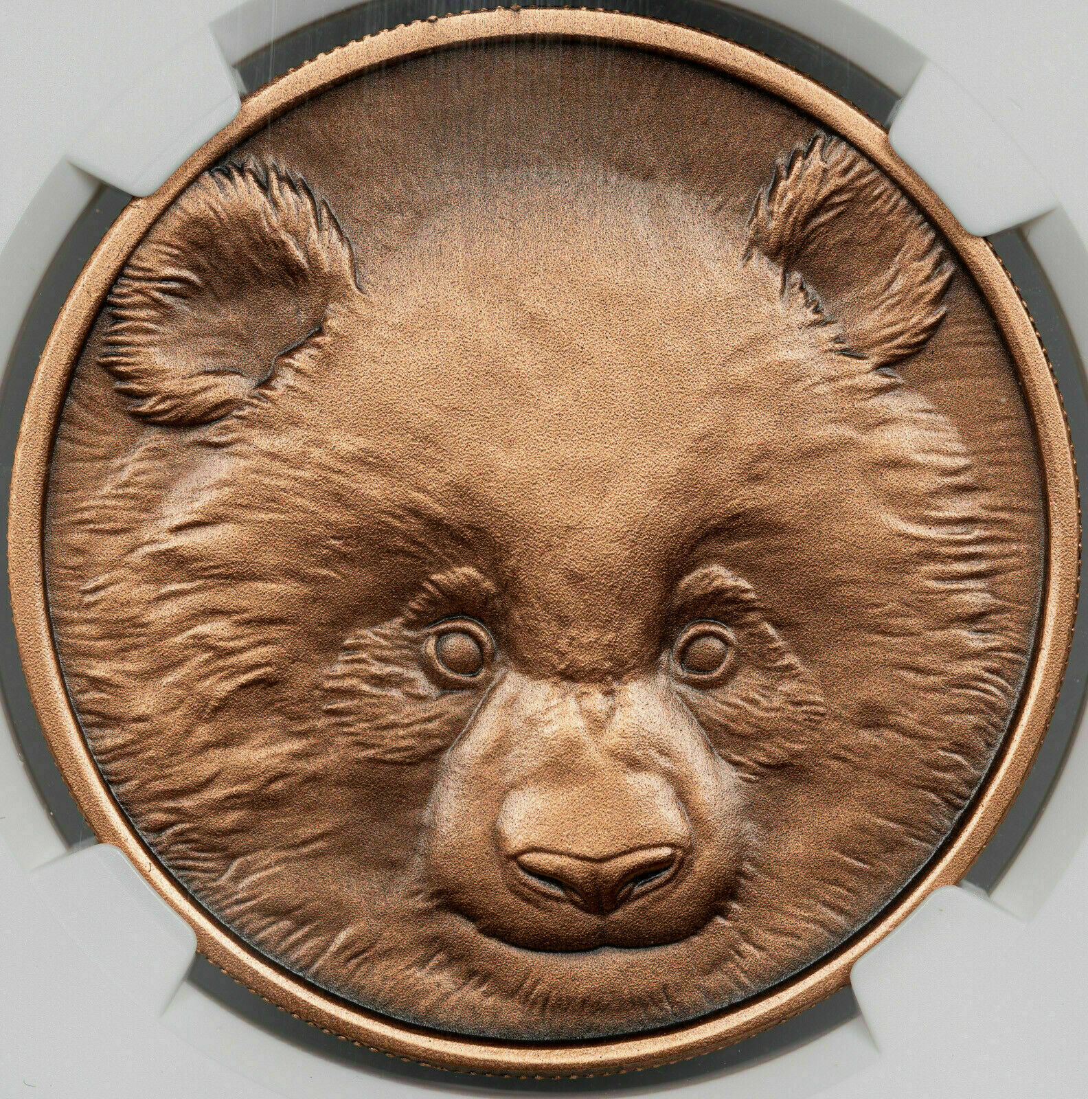 2019 CHINA 40mm COPPER PANDA-BICE NGC MS 70 ANTIQUED FINEST KNOWN WORLDWIDE - Fresh Stock Dated February 2026