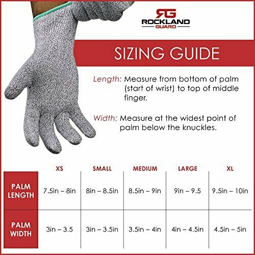 Oyster Shucking Knife & 1 Pair Gloves sizes S to XL, for Clam Shellfish, Superb - Fresh Stock Dated December 2025