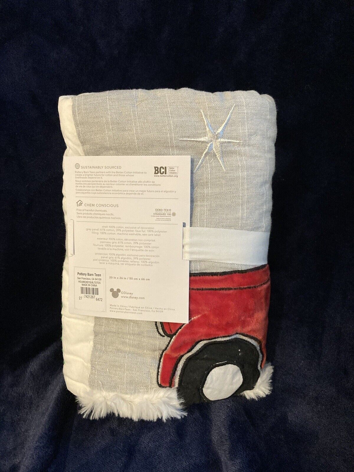 Pottery Barn Teen Kids Disney Mickey Mouse Holiday TRUCK STANDARD SHAM - Fresh Stock Dated February 2026