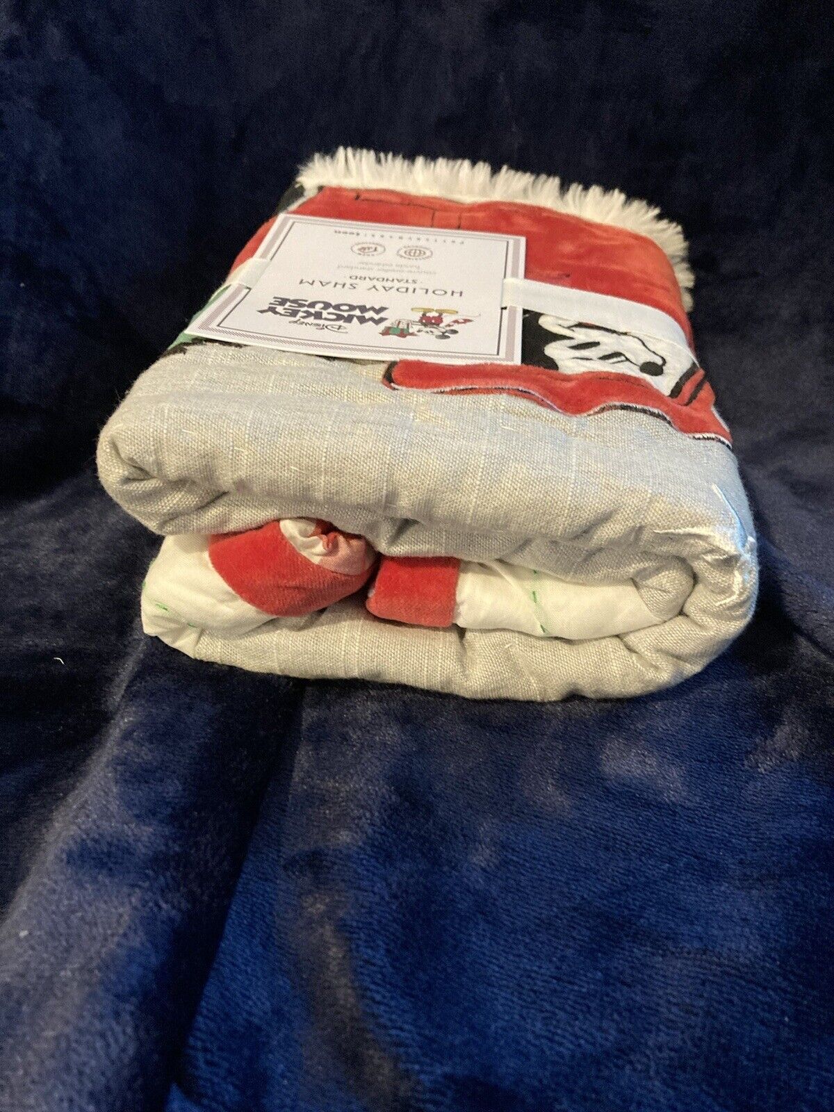 Pottery Barn Teen Kids Disney Mickey Mouse Holiday TRUCK STANDARD SHAM - Fresh Stock Dated February 2026