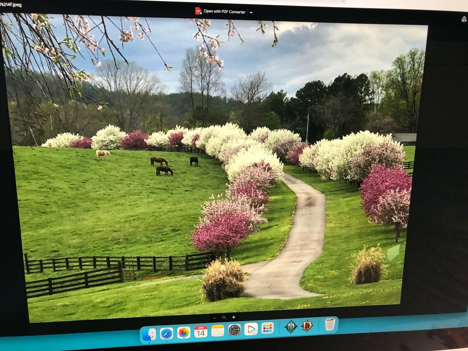 Watchmakers tools... watch case openers - Fresh Stock Dated February 2026