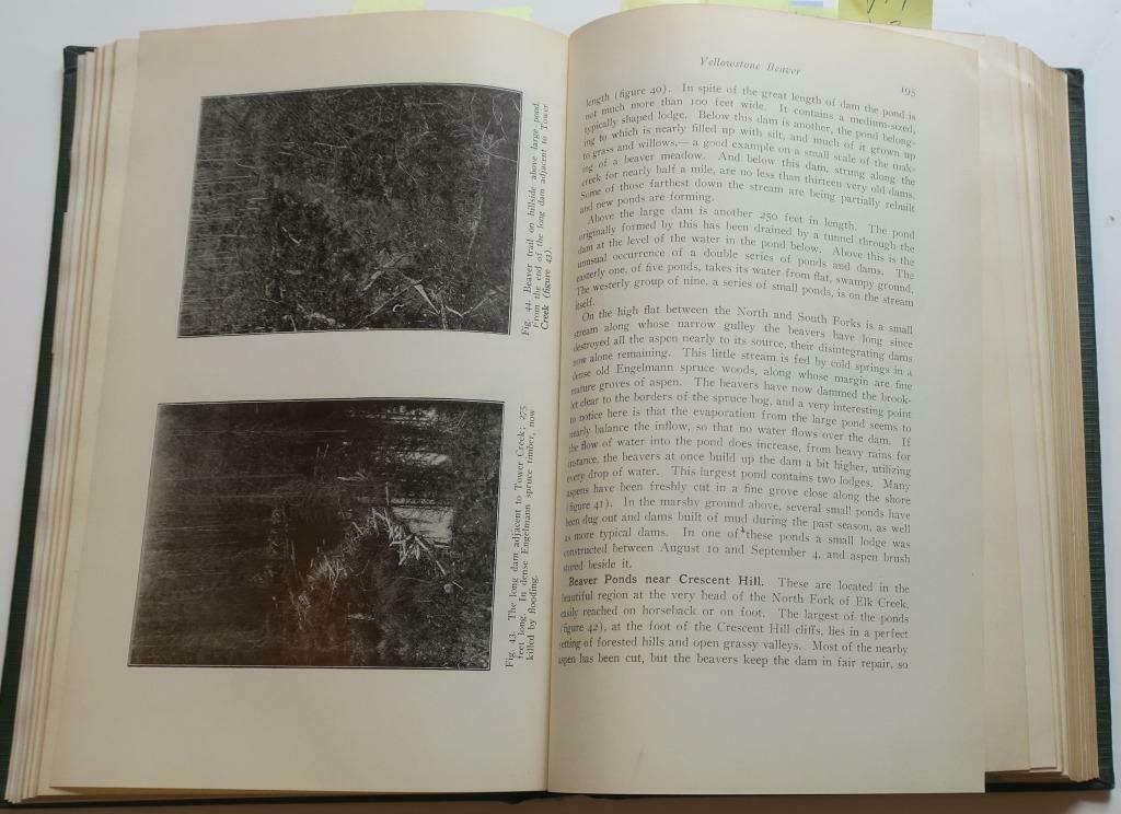 Roosevelt Wild Life Bulletin,Vol. 1:4 issues,Library Hardcover,Park Maps,Photos - Fresh Stock Dated December 2025