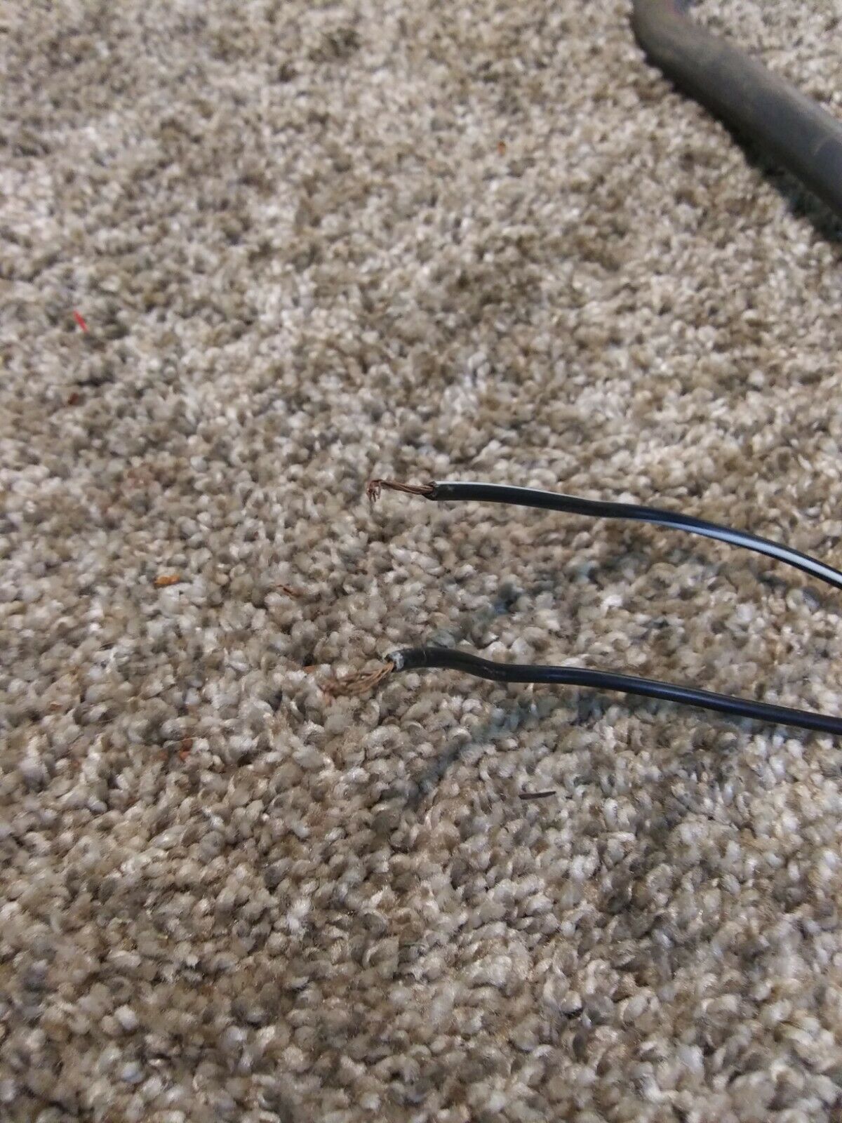 95 - 98 Honda CBR600 CBR 600 F3 Fuel Petrol Pump Gas Assembly 96 97 - Fresh Stock Dated February 2026