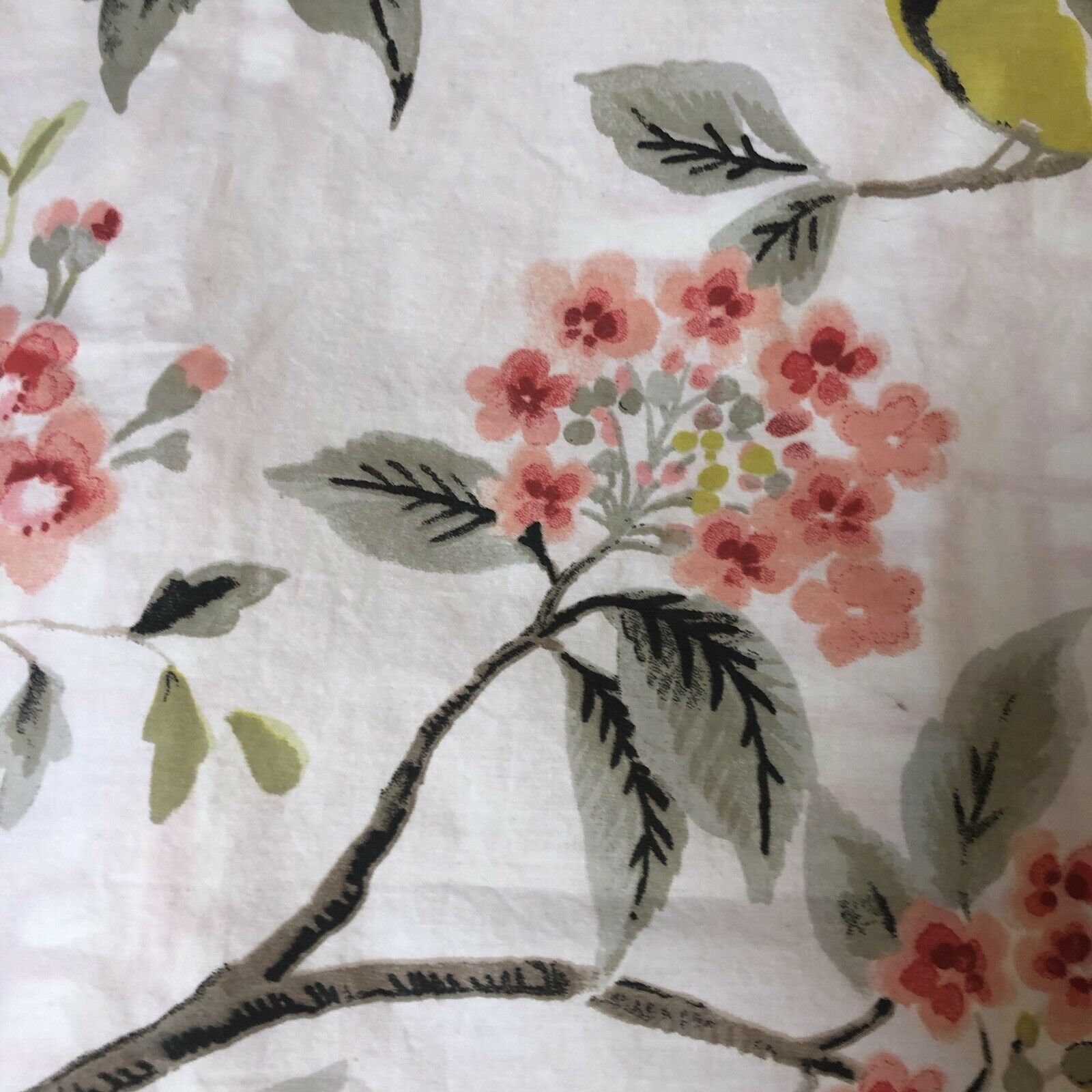 2 NEW NINA HOME BY NINA CAMPBELL Pillow Shams GORGEOUS Birds Flowers - Fresh Stock Dated January 2026