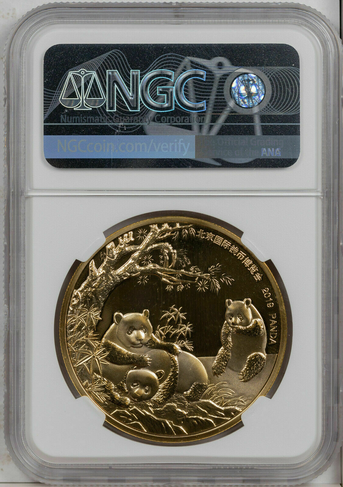 2019 GILT CHINA 40mm COPPER PANDA-BICE NGC PF70 ULTRA CAM FINEST KNOWN WORLDWIDE - Fresh Stock Dated February 2026