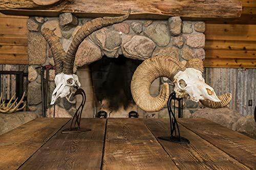 Skull Hooker Skh-Th-Assy-Blk Mesa Juego Pequeño Y Mediano Negro - Fresh Stock Dated February 2026