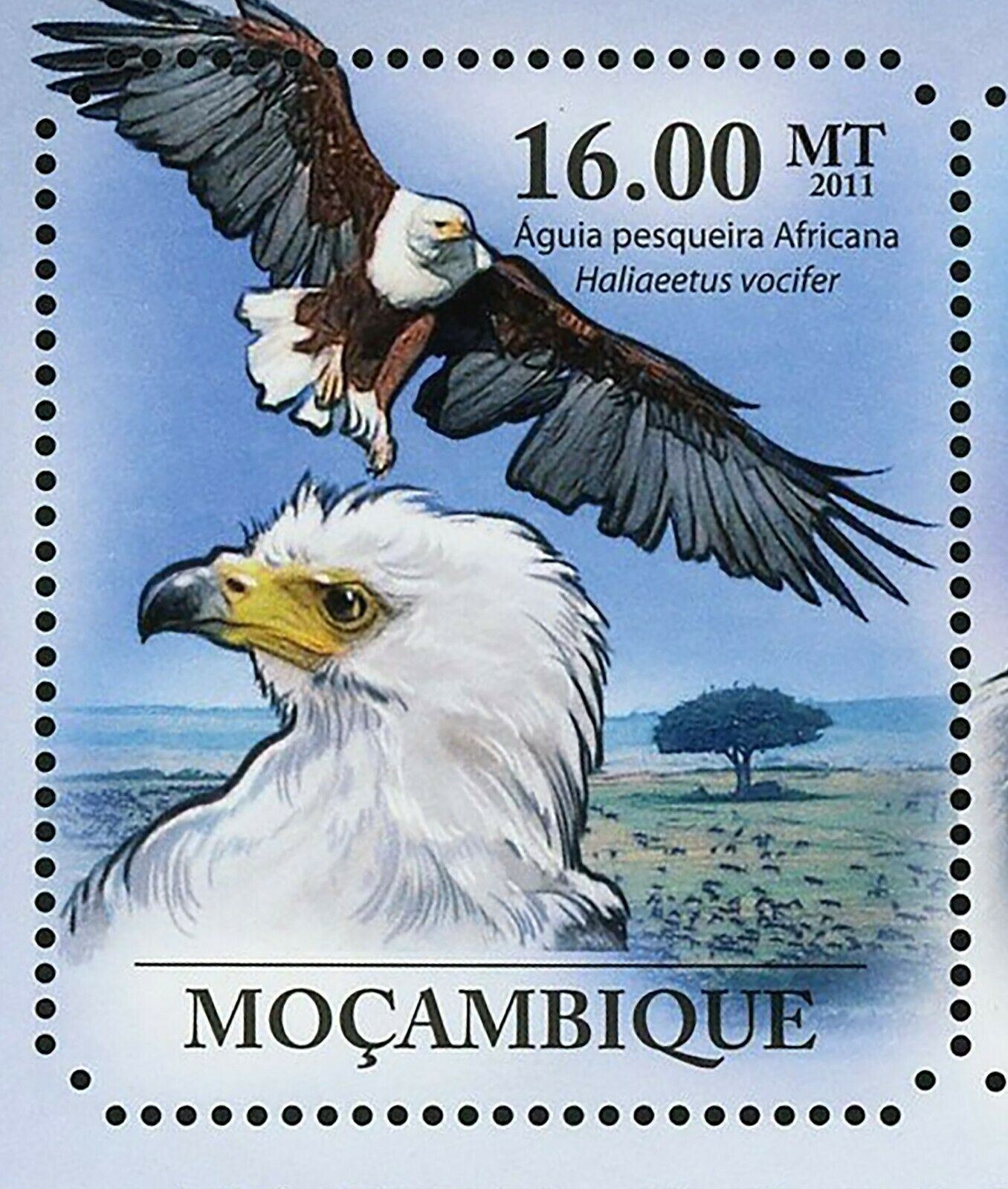 Hawks & Eagles Stamp Haliaeetus Vocifer Polyboroides Typus S/S MNH #4924-4929 - Fresh Stock Dated January 2026