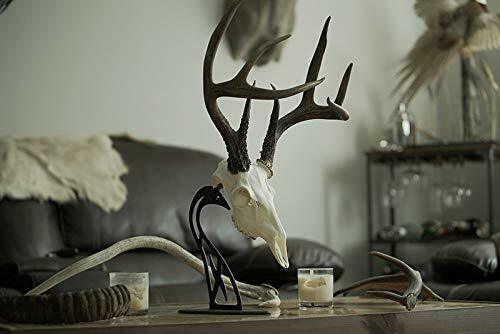 Skull Hooker Skh-Th-Assy-Blk Mesa Juego Pequeño Y Mediano Negro - Fresh Stock Dated February 2026