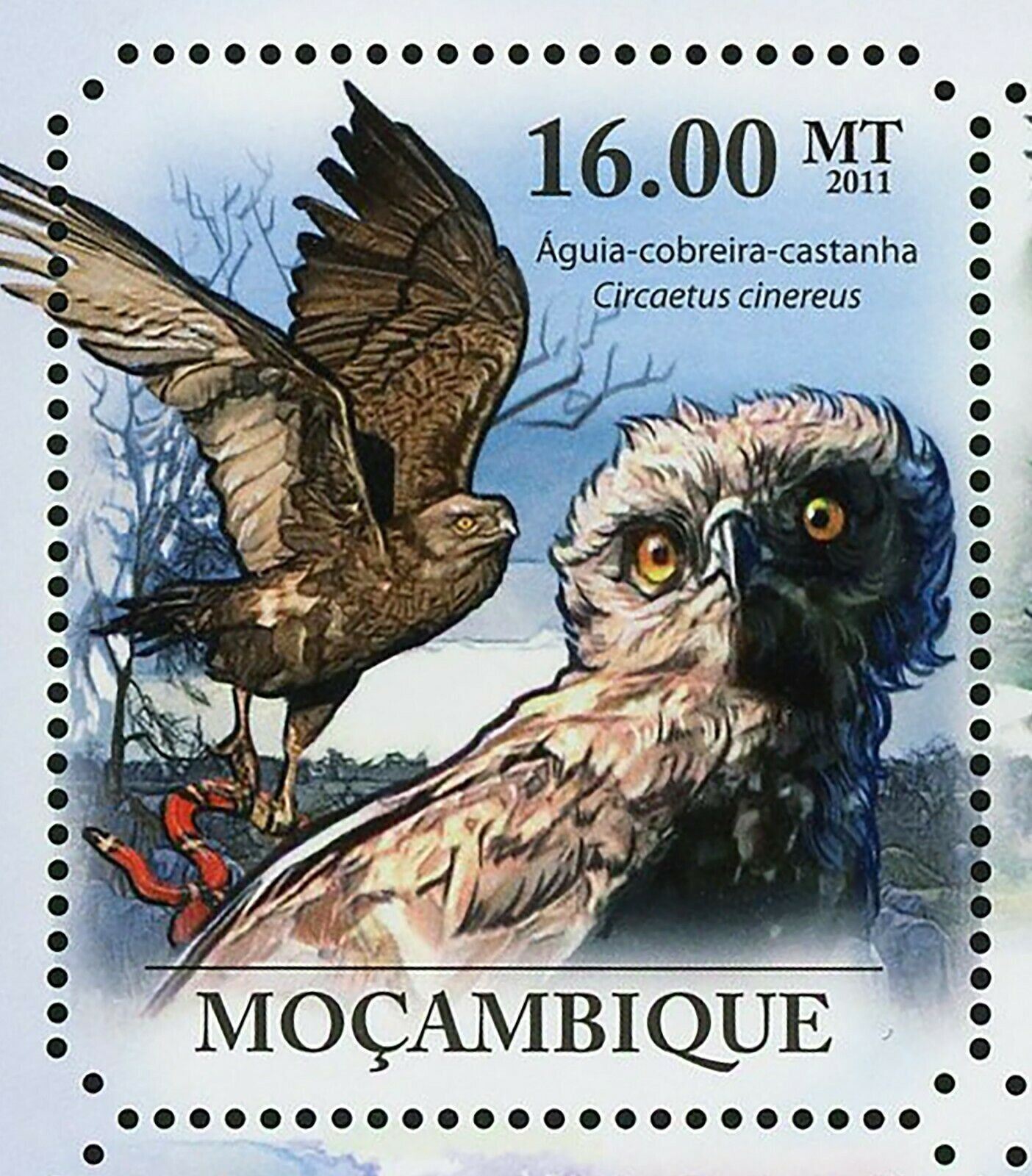 Hawks & Eagles Stamp Haliaeetus Vocifer Polyboroides Typus S/S MNH #4924-4929 - Fresh Stock Dated January 2026