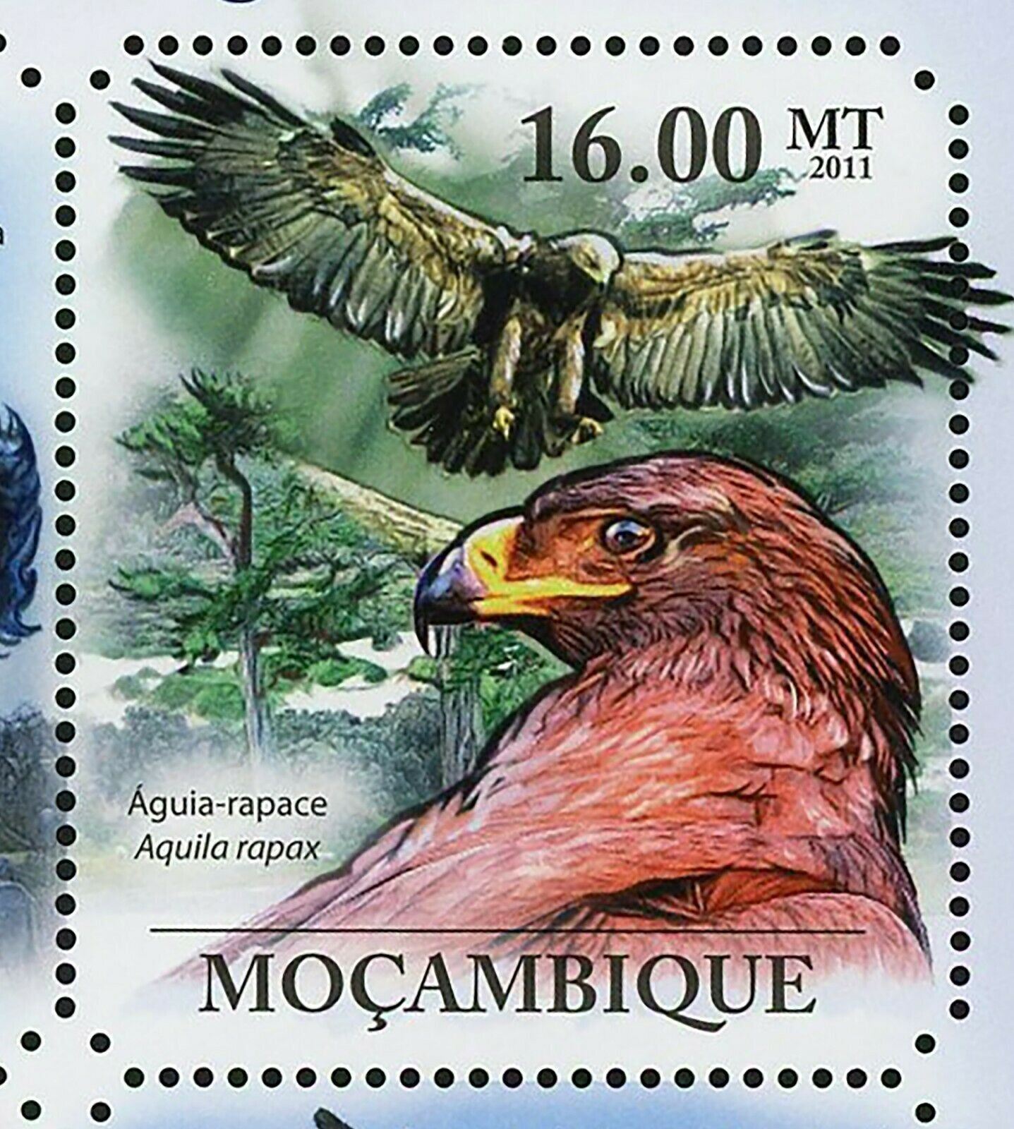 Hawks & Eagles Stamp Haliaeetus Vocifer Polyboroides Typus S/S MNH #4924-4929 - Fresh Stock Dated January 2026