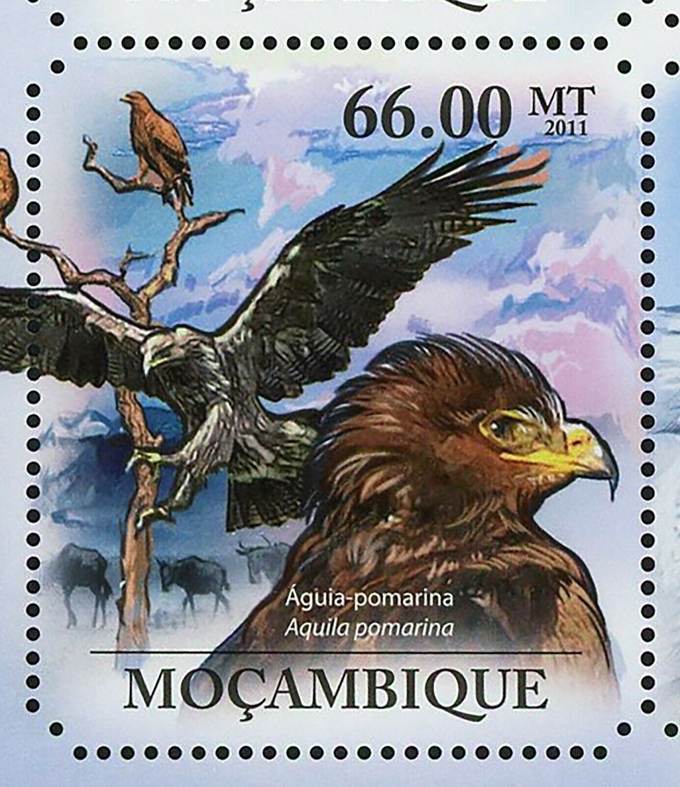 Hawks & Eagles Stamp Haliaeetus Vocifer Polyboroides Typus S/S MNH #4924-4929 - Fresh Stock Dated January 2026