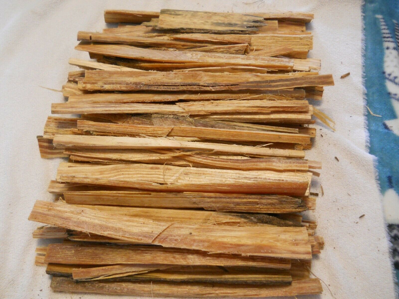 5 pounds of Deep Swamp Fat Lighter Wood, unlimited quantity - Fresh Stock Dated December 2025