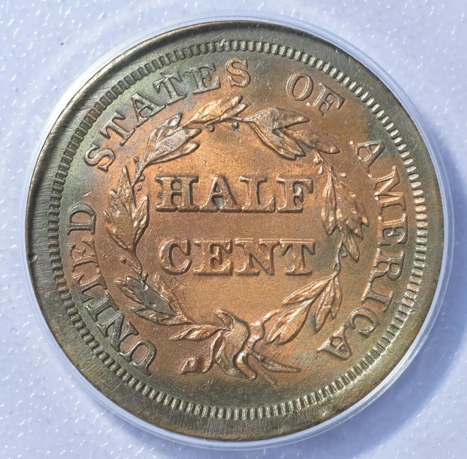 1856 Half Cent ANACS AU-50 Whizzed - Fresh Stock Dated February 2026