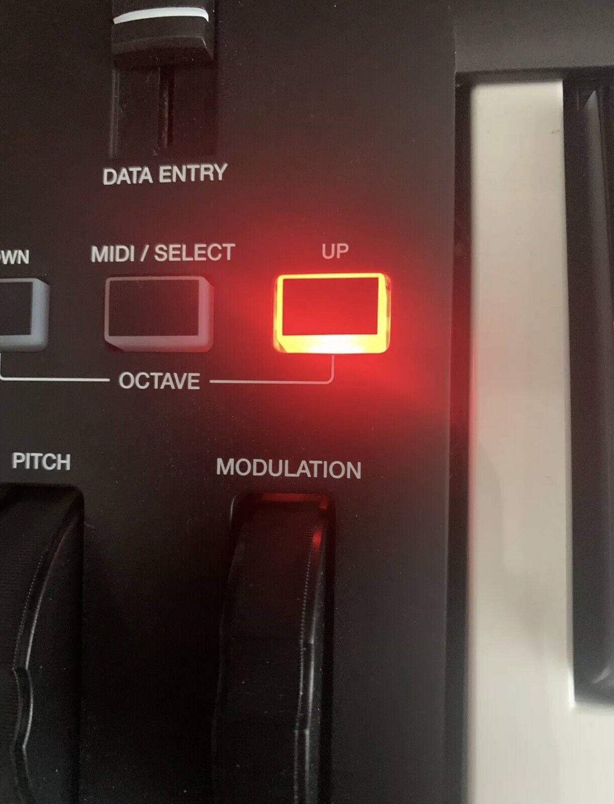 Alesis Q25 USB MIDI 25 Key Keyboard Controller Full Sized Keys - Fresh Stock Dated February 2026