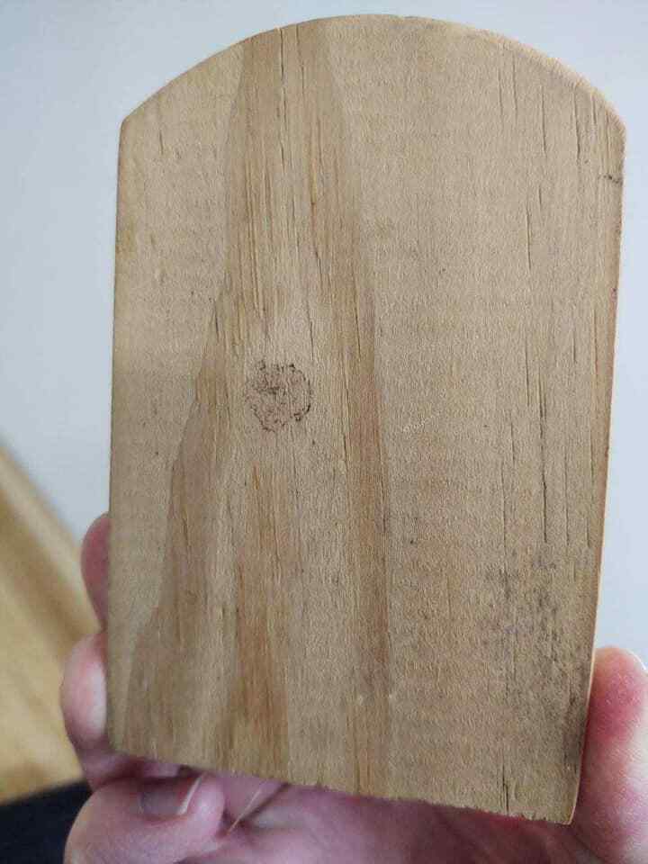 Vintage taxidermy alligator with skirt, original tags from Miami. - Fresh Stock Dated February 2026