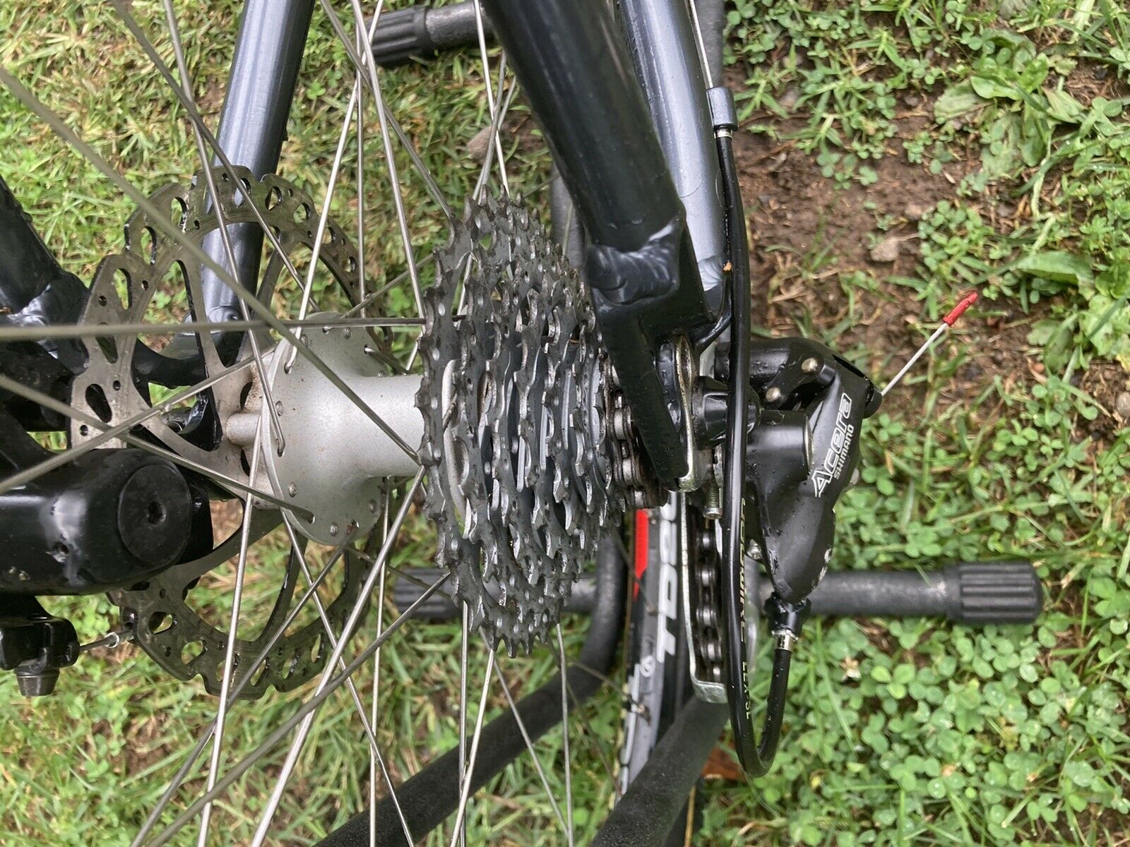 Marin Bobcat Trail 17