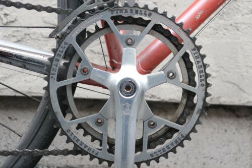 pinarello - Fresh Stock Dated February 2026