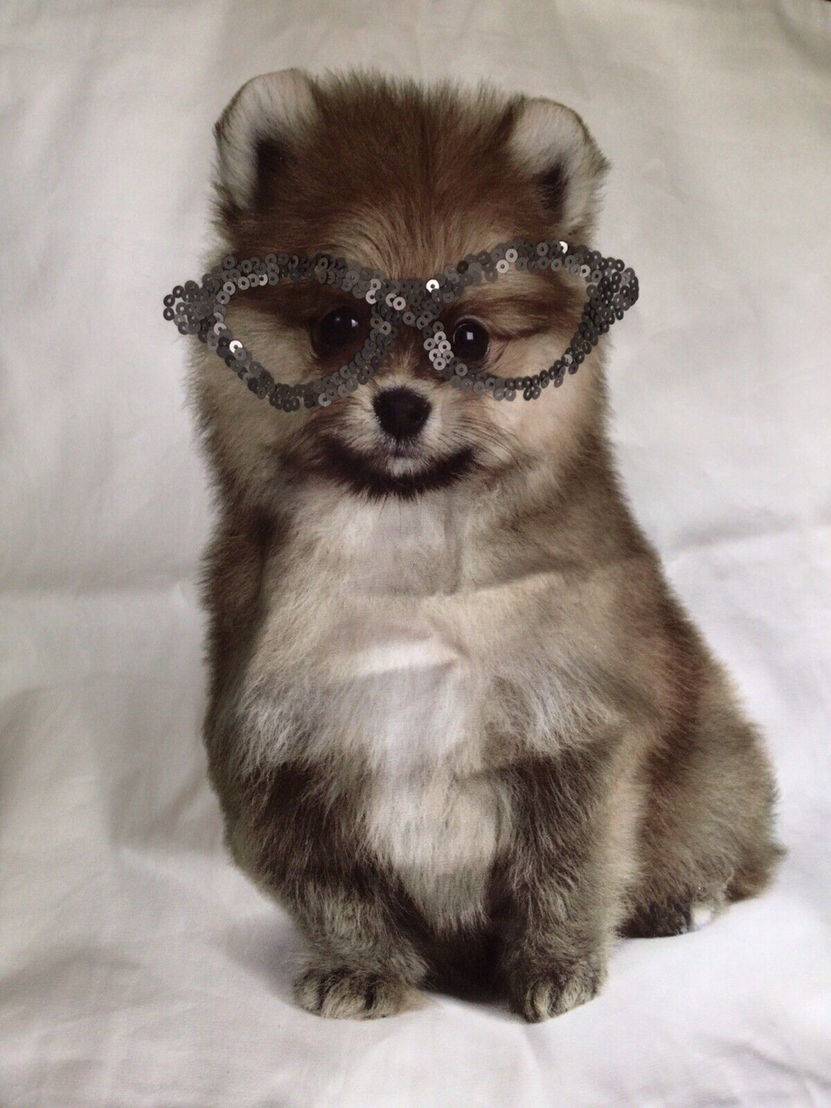 Pottery Barn Teen Pomeranian/Sequin Pillow Cover – New!￼ - Fresh Stock Dated February 2026