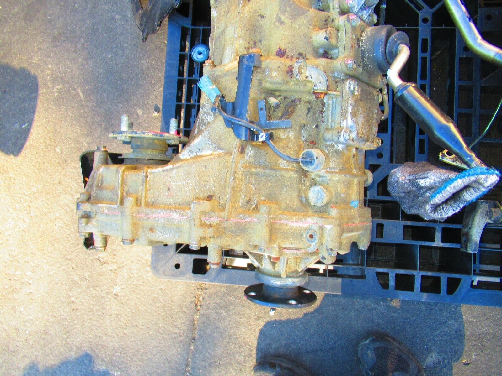 JDM Toyota 4Runner Highlux Surf 1KZTE Turbo Diesel 4X4 MT Transmission - Fresh Stock Dated February 2026