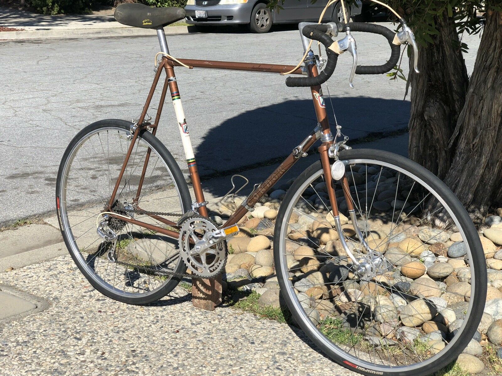 Cóndor Professional Vintage Bike By Benotto Giancinto 25” Frame  Made In Mexico - Fresh Stock Dated February 2026
