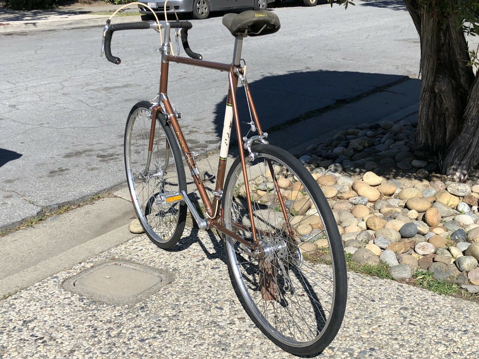Cóndor Professional Vintage Bike By Benotto Giancinto 25” Frame  Made In Mexico - Fresh Stock Dated February 2026