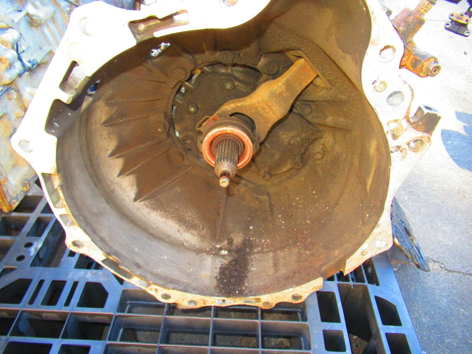 JDM Toyota 4Runner Highlux Surf 1KZTE Turbo Diesel 4X4 MT Transmission - Fresh Stock Dated February 2026