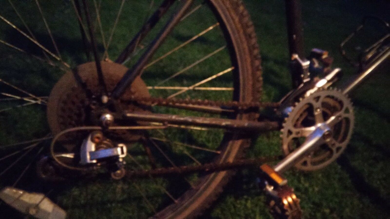 Alpina Uno UNIVEGA - Fresh Stock Dated February 2026