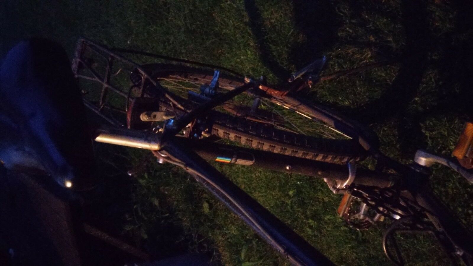 Alpina Uno UNIVEGA - Fresh Stock Dated February 2026