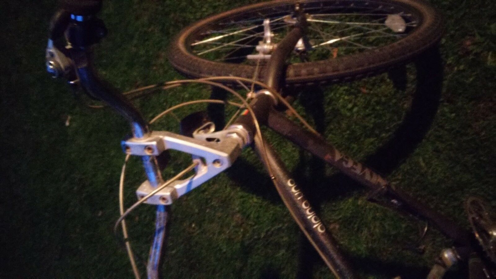 Alpina Uno UNIVEGA - Fresh Stock Dated February 2026