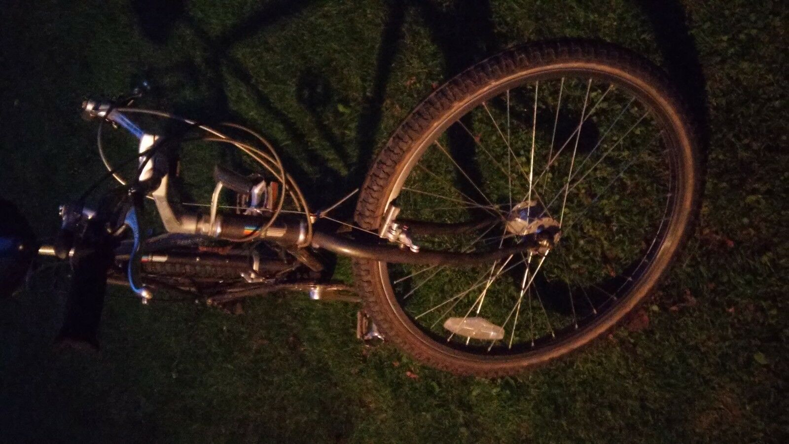 Alpina Uno UNIVEGA - Fresh Stock Dated February 2026