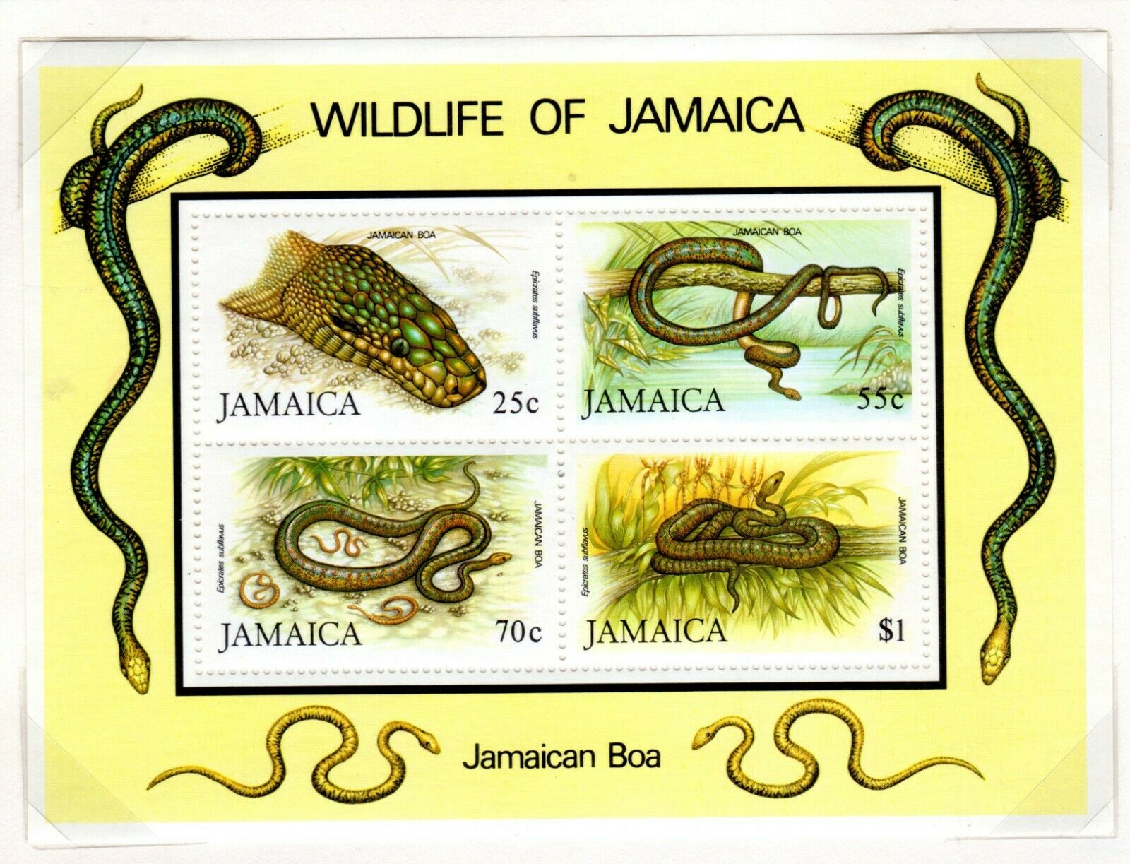 Jamaica Scott 573//617 Mostly Used on 3 Album Pages Issued 1984-1986 - Fresh Stock Dated December 2025