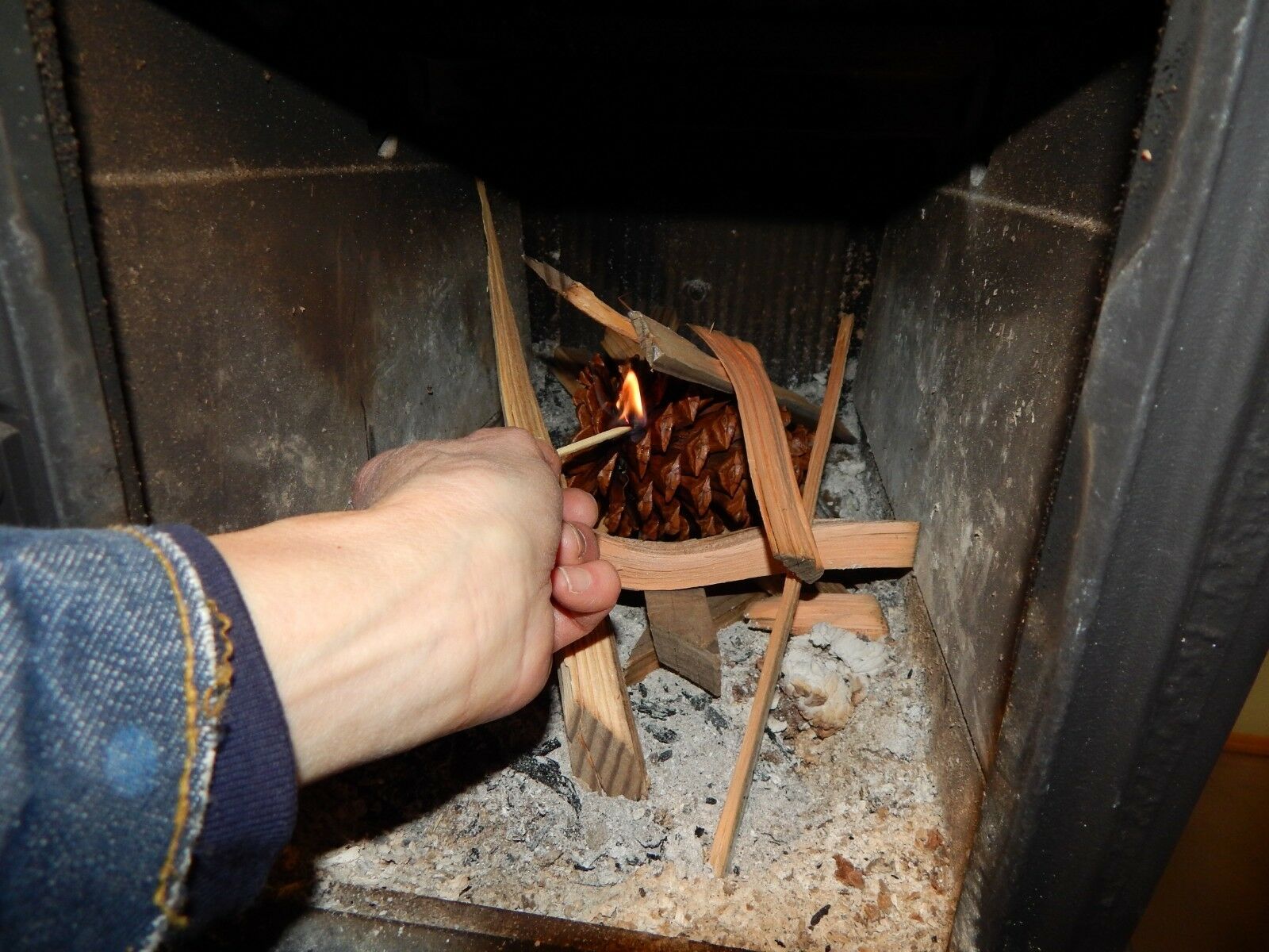 Firestarter Pinecones Wax Coated Fragrant Long leaf Burn Hot Easy Start USA 178M - Fresh Stock Dated December 2025