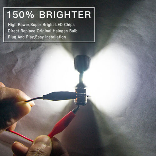 Bevinsee H4 9003 LED Headlight Bulb For BMW F650 G650GS R1150R R1200C R850 White - Fresh Stock Dated February 2026