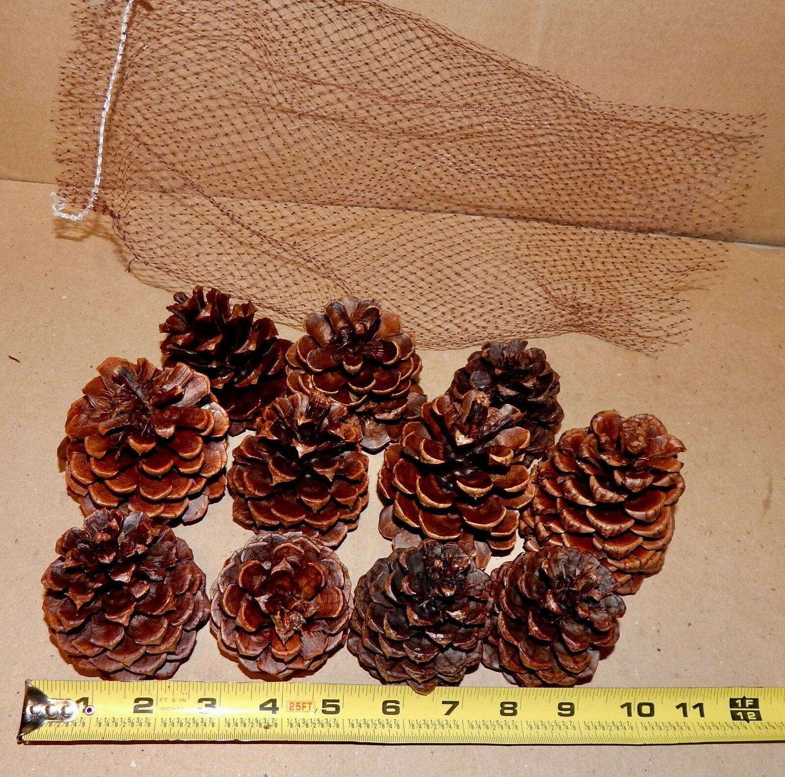 Firestarter Pinecones Wax Coated Fragrant Long leaf Burn Hot Easy Start USA 178M - Fresh Stock Dated December 2025