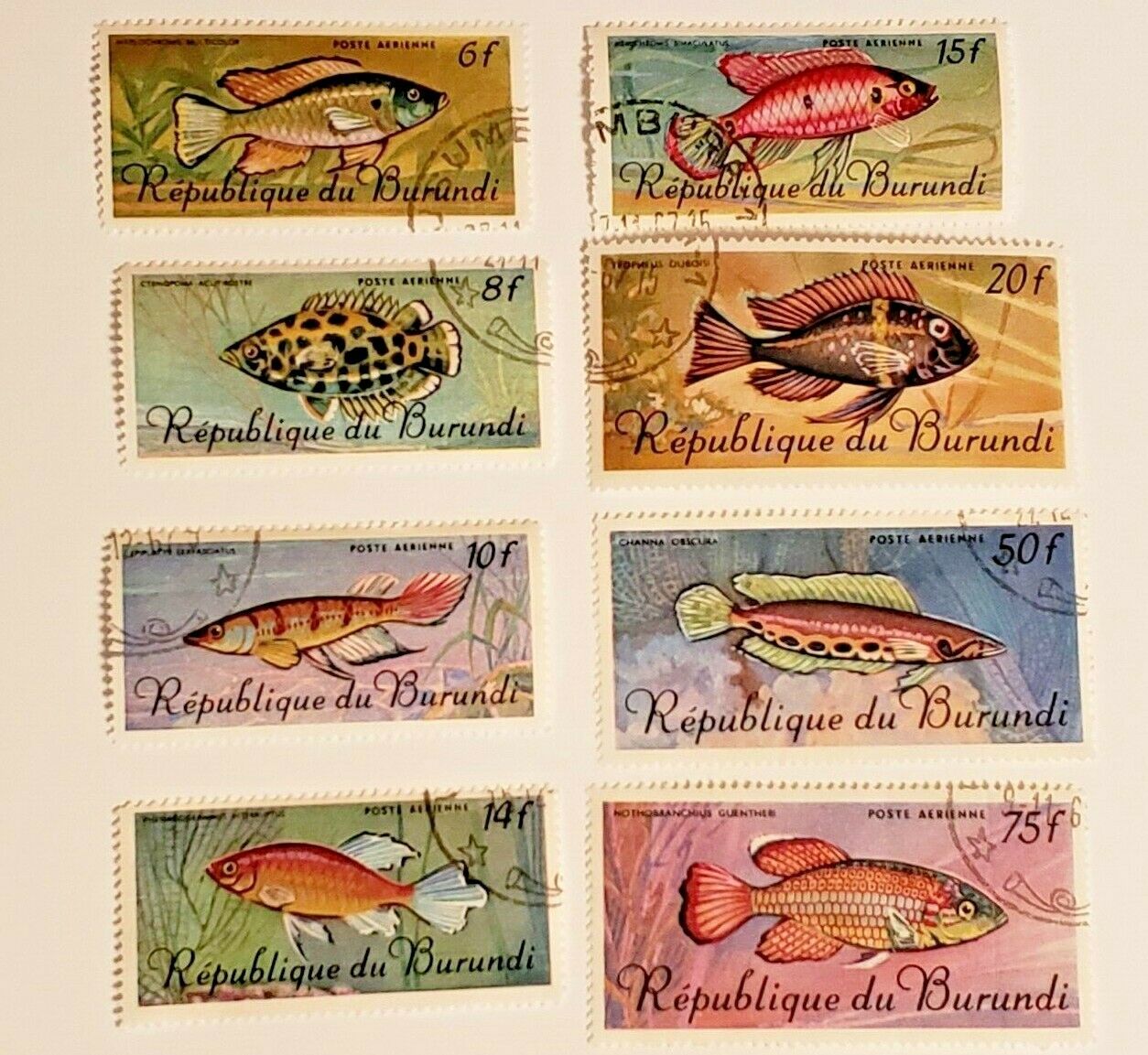 1967 Burundi Set of (8) Tropical Fauna Fish Stamps + Original Littleton Envelope - Fresh Stock Dated January 2026