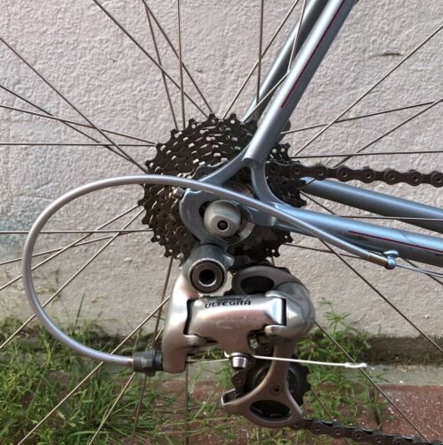 Richard Sachs Road Bike 🇺🇸 - Fresh Stock Dated February 2026