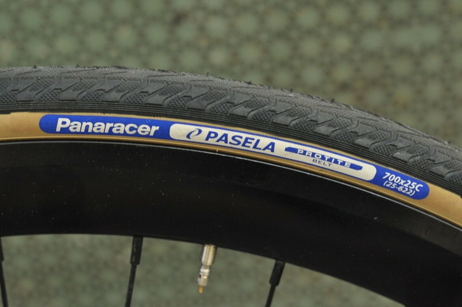 Brand New Tribe Ozark 61 cm Single Speed Bicycle - Fresh Stock Dated February 2026