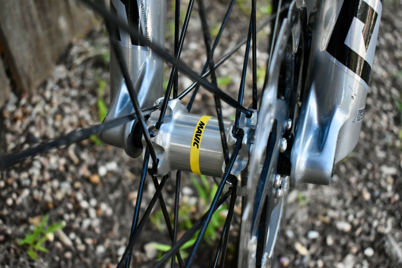 Transition Smuggler - Fresh Stock Dated February 2026