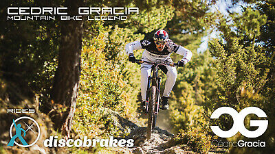 DiscoBrakes Shimano Disc Brake Pads BR-M575 M525 M515 M495 Deore 486 485 475 465 - Fresh Stock Dated February 2026