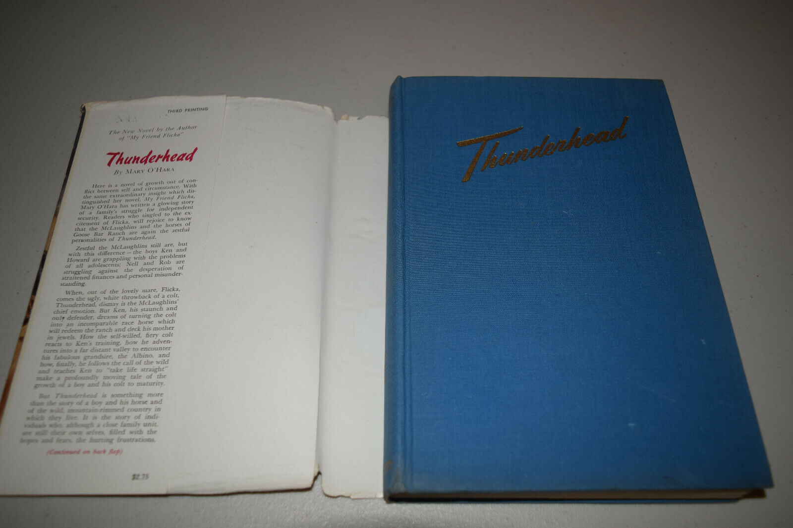 Thunderhead by Mary O'Hara Author of My Friend Flicka 1943 HBDJ 3rd Impression - Fresh Stock Dated December 2025