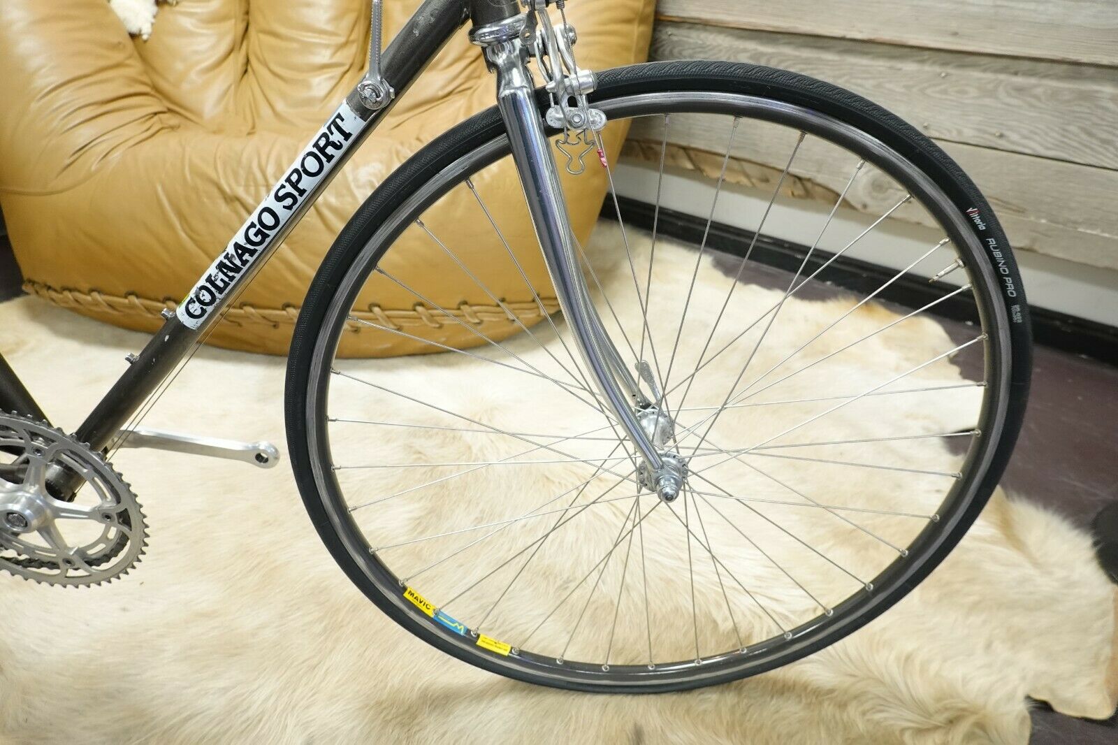 Vintage Colnago Sport Bike 59cm 700C Campagnolo Gipiemme Mavic Campagnolo RARE - Fresh Stock Dated February 2026