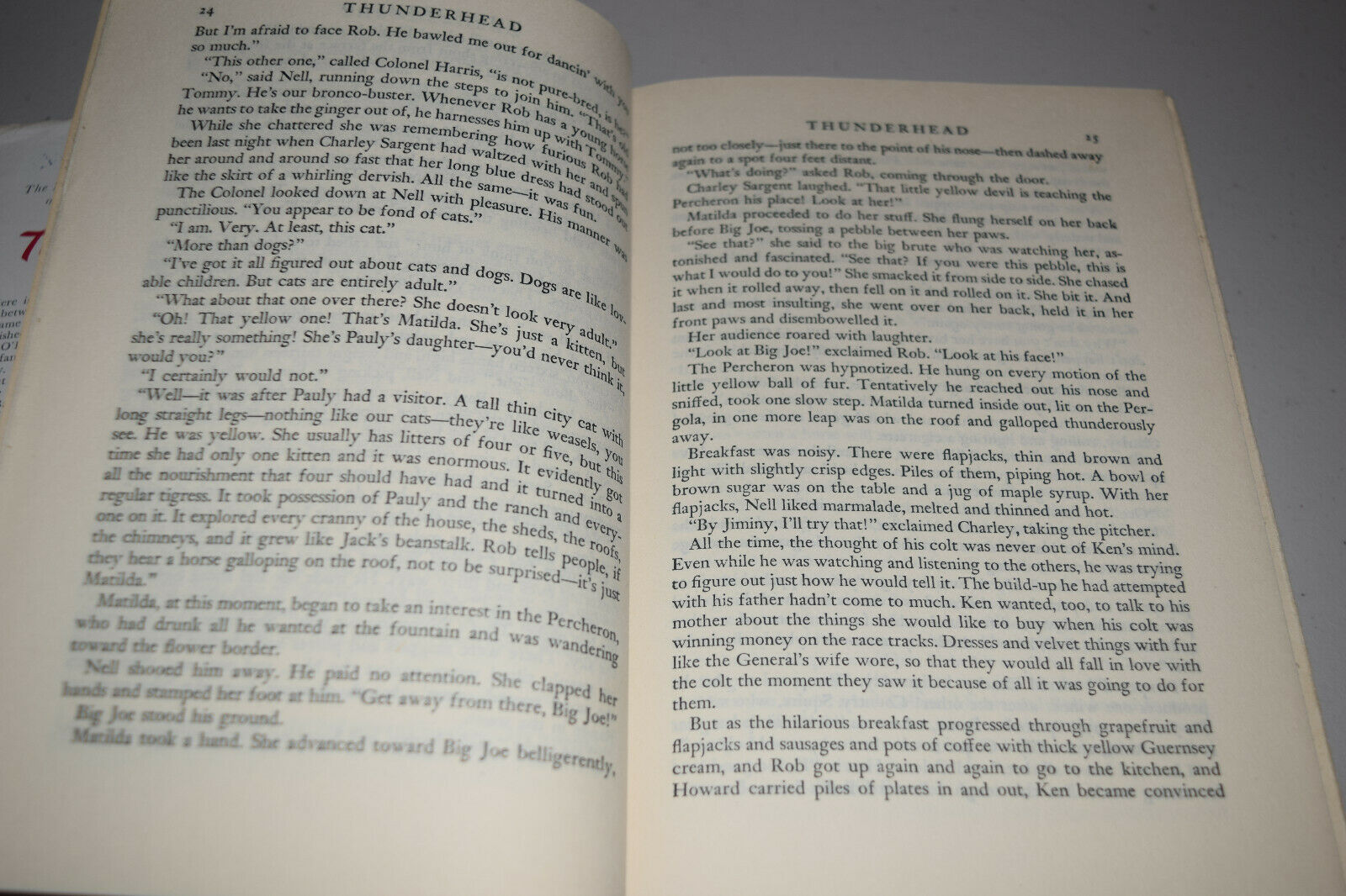 Thunderhead by Mary O'Hara Author of My Friend Flicka 1943 HBDJ 3rd Impression - Fresh Stock Dated December 2025
