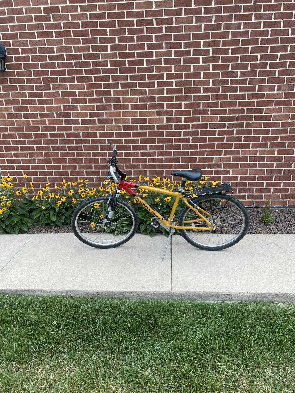 schwinn mesa - Fresh Stock Dated February 2026