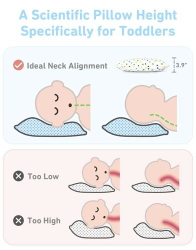 Babebay Toddler Pillow with Pillowcase 2Pack-13 x 18 Baby Pillows for Sleepin... - Fresh Stock Dated December 2025