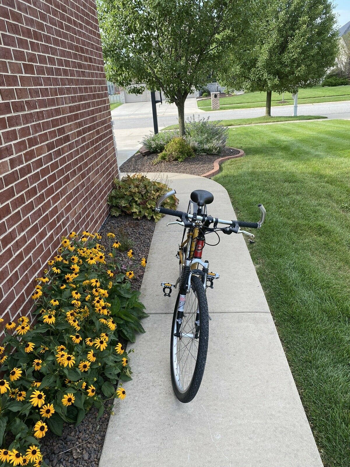 schwinn mesa - Fresh Stock Dated February 2026