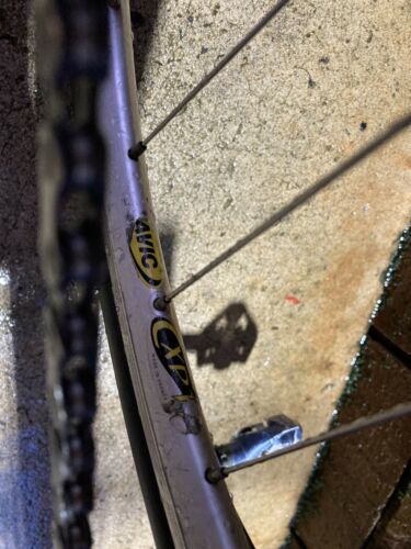 Cannondale Saeco CAAD3 Road Bike Macchine Da Caffe 65cm Tiagra, Mavic CXP - Fresh Stock Dated December 2025