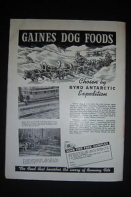 Vintage THE DOGS NEWS magazine. January 1940. The Beagle cover - Fresh Stock Dated December 2025