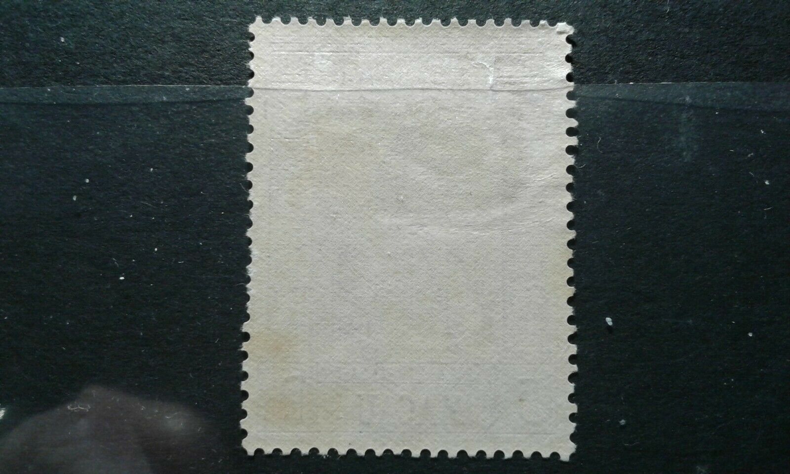 Macao #305 mint hinged e205 8893 - Fresh Stock Dated February 2026