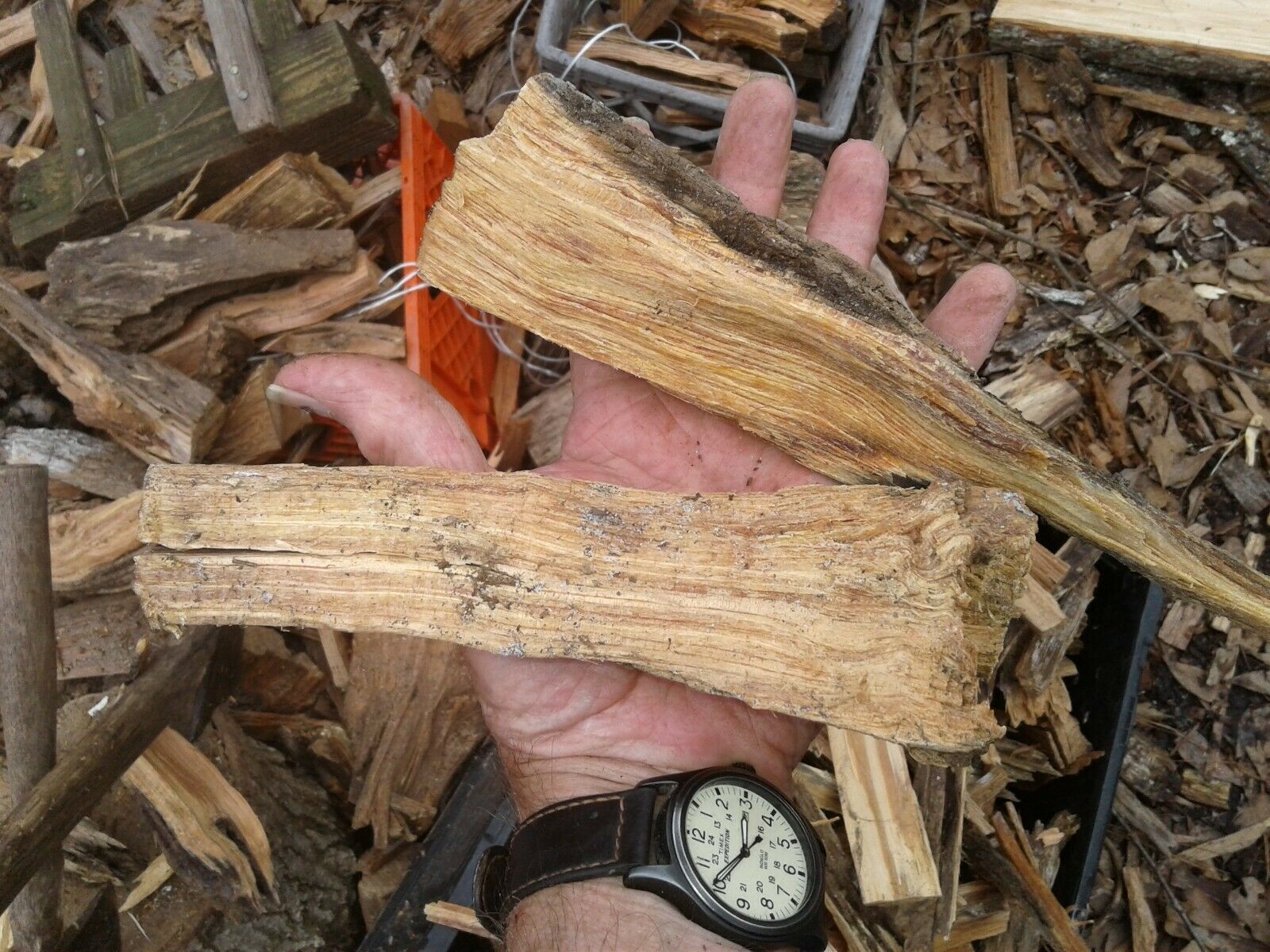 Fat Lighter Wood perfect for bug out bags, stashes, campers/RV, hiking, camping - Fresh Stock Dated December 2025